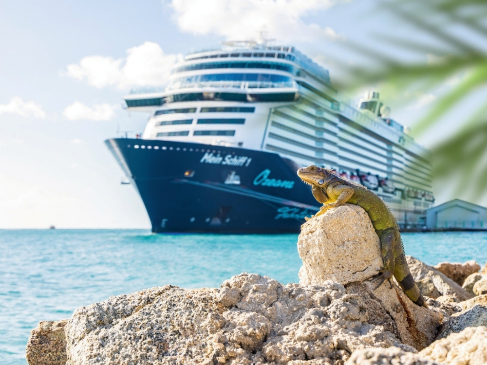 Leguan an der Küste in der Karibik mit Kreuzfahrtschiff im Hintergrund